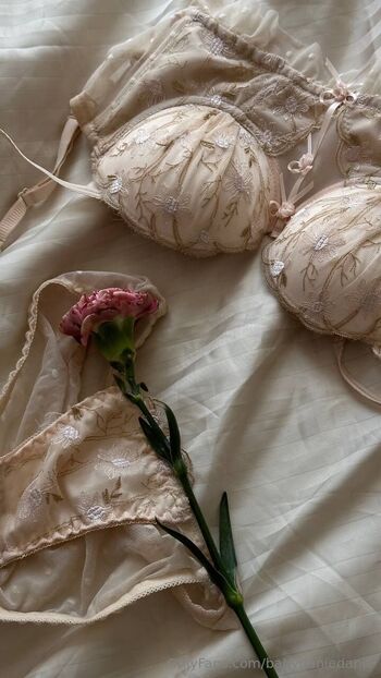 Danie Jane Muse / babydaniedanie / daniejanemuse.bikini nude photo #13