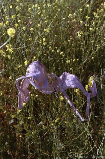 BAD DAUGHTE / badddaughter nude photo #2