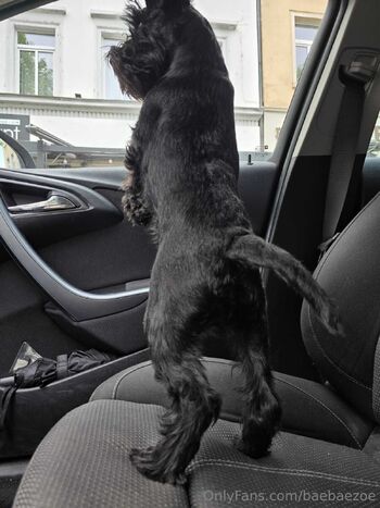 Zo / baebaezoe / baebae.zoe / baebae_zoe nude photo #16