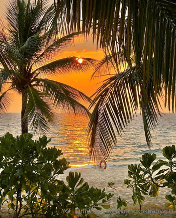 Bangkokbabygir / bangkokbabygirl / tteasebunny nude photo #31