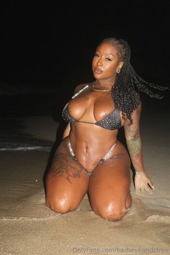 BARBEEBANDZFRE / barbeebandzfree nude photo #17