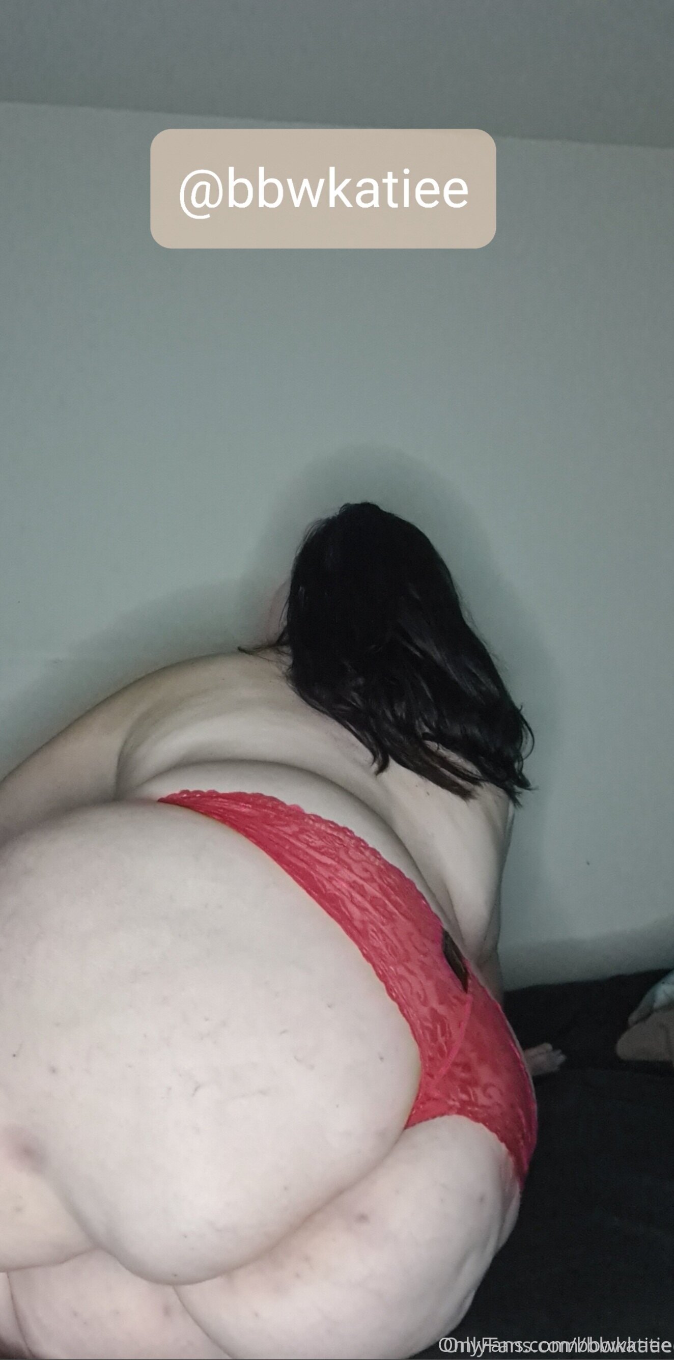 Bbw Kat / bbwkat69 nude photo #18