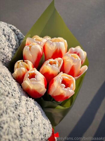 OnlyFans / belllaaaakr nude photo #3