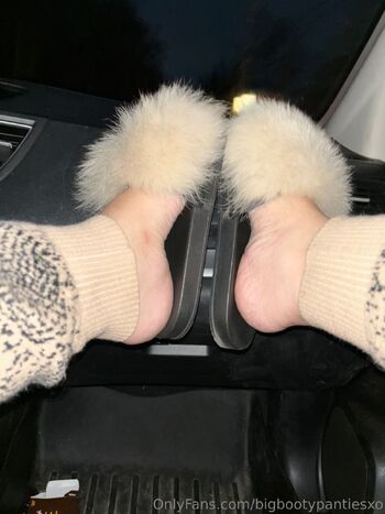 bigbootypantie / bigbootypantiesxo nude photo #8