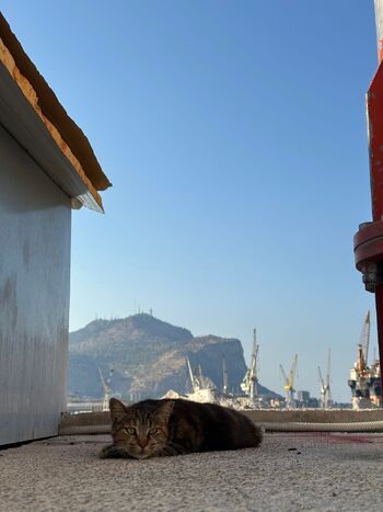 BlushB / blushbb_01 nude photo #20