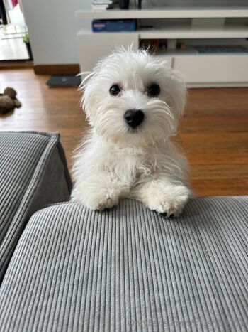 BlushB / blushbb_01 nude photo #38