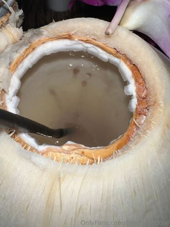 Boosecaboos / boosecaboose nude photo #31