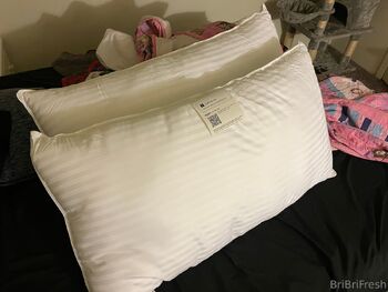 Brianna Floria / bribrifresh / bribrifreshed nude photo #4