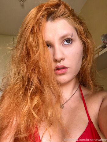 brisaruivafree
