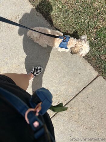 BROOKLYNNBATESFRE / brooklynnbatesfree nude photo #1