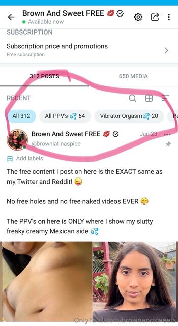 Brown And Sweet FREE / brownandsweets nude photo #48