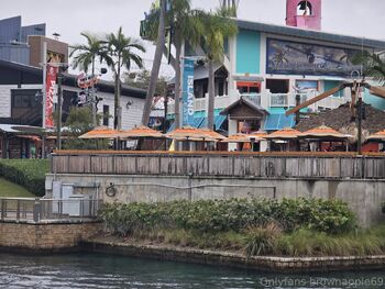 Brownapplebotto / brownapple69 nude photo #3