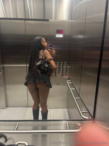 Pnkslv / browncoochiee nude photo #5