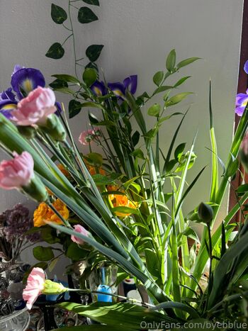 YONA / byebblue nude photo #36