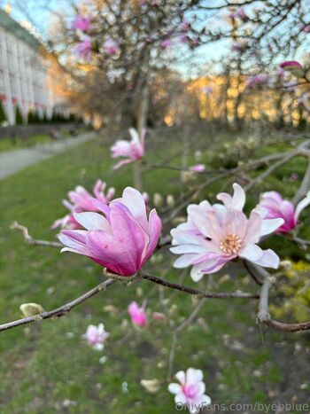 YONA / byebblue nude photo #38