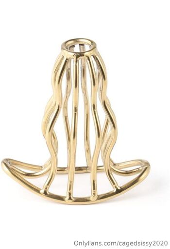 Cagedsissy202 / cagedsissy2020 nude photo #14