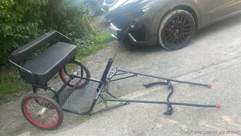 Calea Toxic (official / caleatoxic nude photo #15