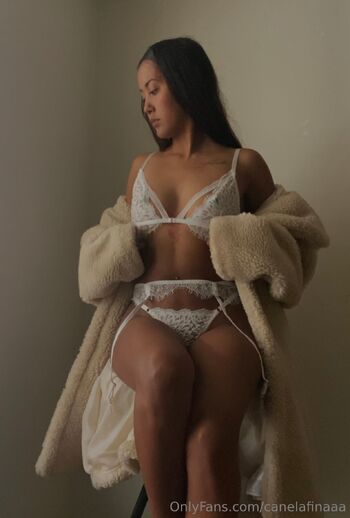 OnlyFans / canelafinaaa nude photo #14