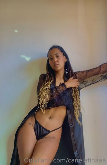 OnlyFans / canelafinaaa nude photo #34
