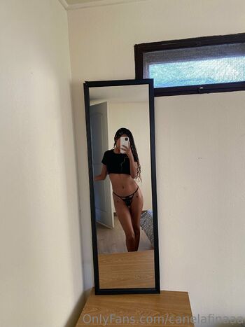 OnlyFans / canelafinaaa nude photo #35