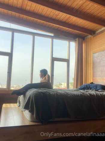OnlyFans / canelafinaaa nude photo #39
