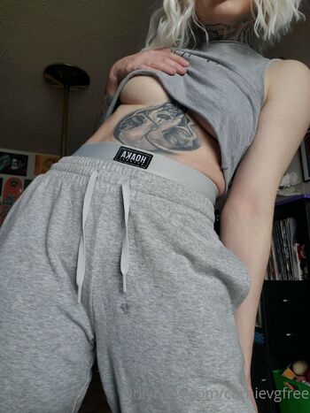 Carni / carnievgfree nude photo #15