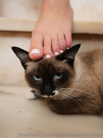 Catarina Serran / catarinaserranofree nude photo #10