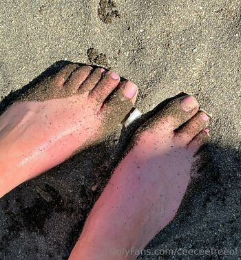 Ceecee Fo / ceeceefreeof nude photo #18