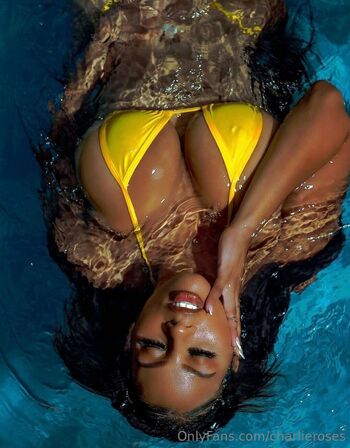 Charlie Rose / charlieroses / arieljaneill nude photo #36