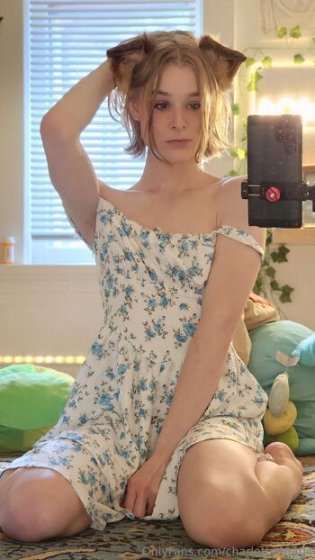 Charlott / charlotte40404 nude photo #21