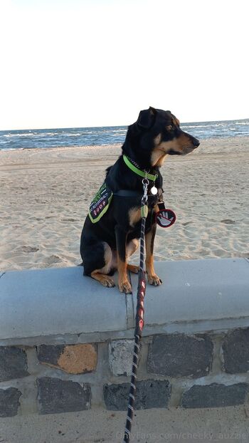 Cheeky Aussi / cheeky_auzzie nude photo #21