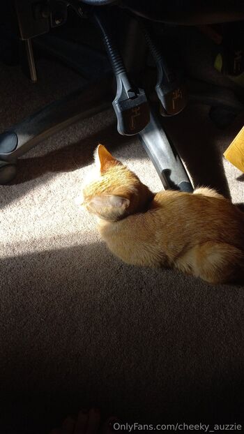 Cheeky Aussi / cheeky_auzzie nude photo #35