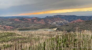 Cheek / cheekz26 / sexycheekz26 / sexycheeks2022 nude photo #16