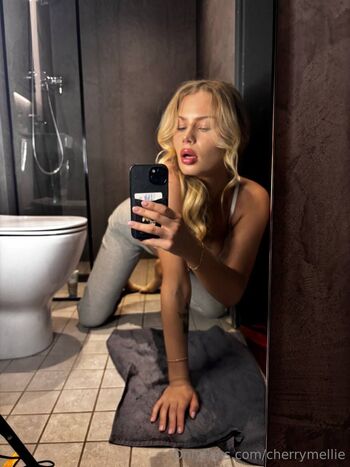 𝑀𝑒𝓁𝓁 / cherrymellie nude photo #13