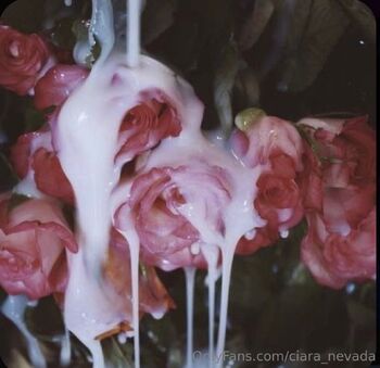 𝙲𝚒𝚊𝚛𝚊 𝙽𝚎𝚟𝚊𝚍 / ciara_nevada nude photo #18