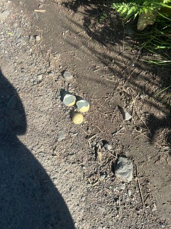 Cleolan / cleolane nude photo #30