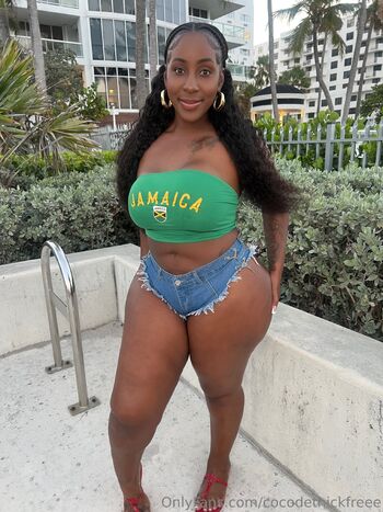 Coco de thick / cocodethickfreee nude photo #29