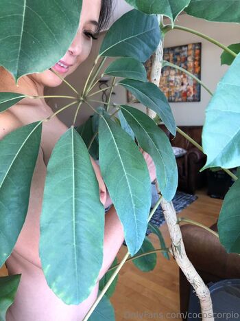 CocoScorpi / cocoscorpio nude photo #9
