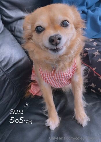 ColeyCupCak / coleycupcake nude photo #22