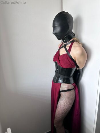 Collaredfelin / collaredfeline nude photo #9