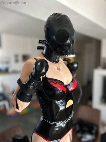 Collaredfelin / collaredfeline nude photo #14