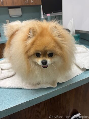 Corinne Olympio / colympios nude photo #11