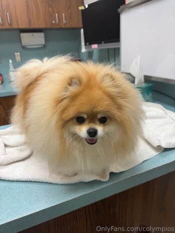 Corinne Olympio / colympios nude photo #12