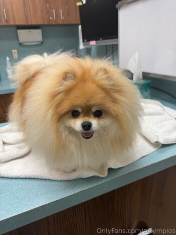 Corinne Olympio / colympios nude photo #13