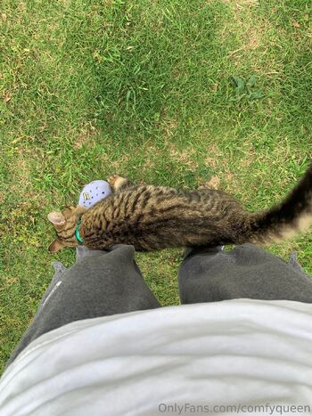 LuxxxTheFo / comfyqueen / hvnny.bvnny / .comfy.queen / comfyqueen19 nude photo #10