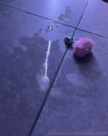 Conejita Bun / conejitabunzlite nude photo #15