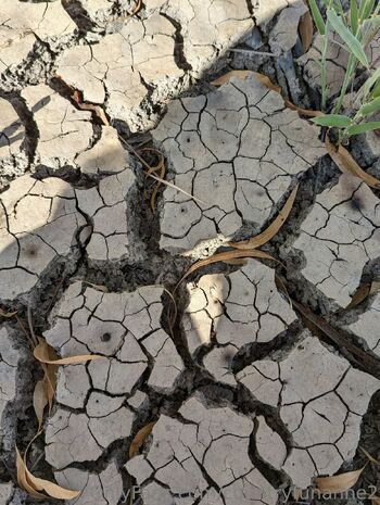 Fun Anne / countryfunanne2 nude photo #25