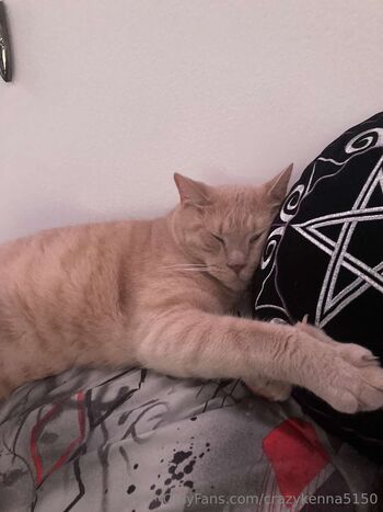 Kenn / crazykenna5150 nude photo #23