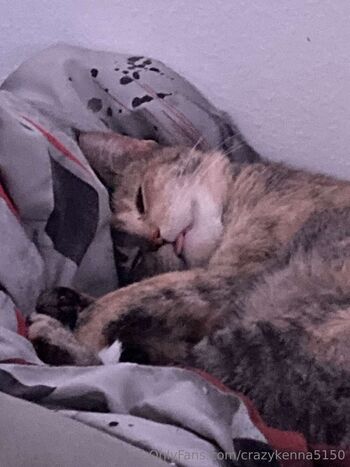 Kenn / crazykenna5150 nude photo #28