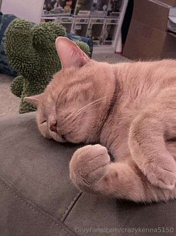 Kenn / crazykenna5150 nude photo #30